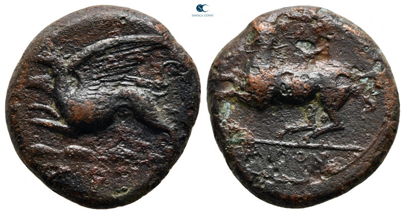 Sicily. Kainon circa 360-340 BC. 
Bronze Æ

21 mm, 8,44 g



very fine