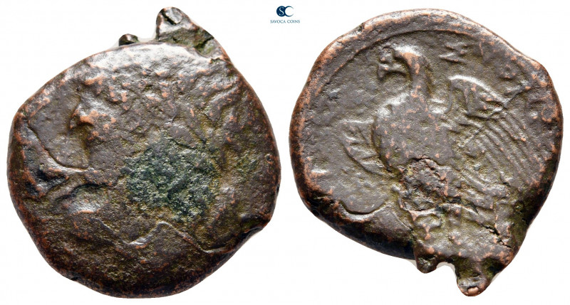 Sicily. Syracuse. Hiketas 287-278 BC. 
Bronze Æ

23 mm, 6,40 g



fine