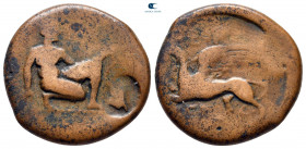 The Tauric Chersonese. Chersonesus circa 320-310 BC. Bronze Æ