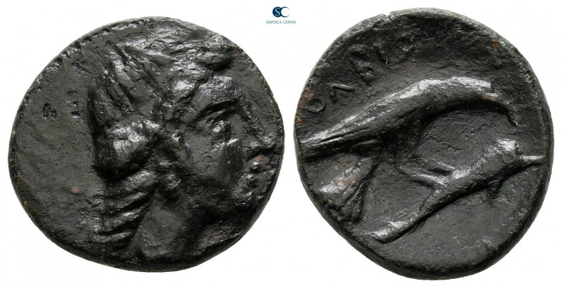 Scythia. Olbia circa 400-350 BC. 
Bronze Æ

17 mm, 3,31 g



very fine