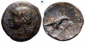 Scythia. Olbia circa 350-300 BC. Bronze Æ