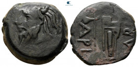 Scythia. Olbia circa 310-280 BC. Bronze Æ