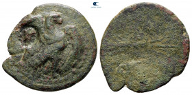 Kings of Bithynia. Nikomedeia. Prusias II Cynegos 182-149 BC. Bronze Æ