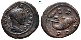 Thrace. Deultum. Maximinus I Thrax AD 235-238. Bronze Æ