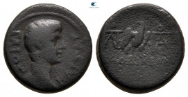 Phrygia. Laodikeia ad Lycum. Gaius Caesar 20 BC-AD 4. Bronze Æ