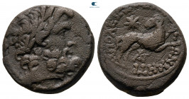 Seleucis and Pieria. Antioch. Pseudo-autonomous issue 27 BC-AD 14. Bronze Æ