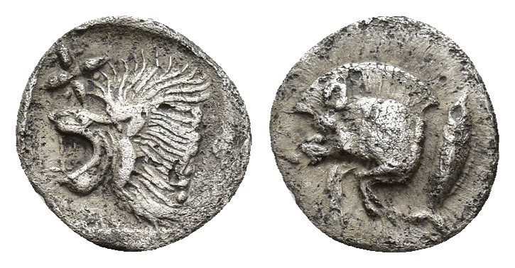 Mysia. Kyzikos. circa 480 BC. AR Hemiobol 0.2gr, 9.1mm. Forepart of boar to left...