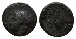 Greek coins , 1.5gr, 11mm. Obv: head of Apollo l. Rev: Tunny fish