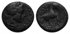 Troas, Abydos. Civic coinage. AE 10.1mm, 1.3gr. Obv: Laureate head of Apollo right. Rev: ABY, eagle standing right, wings closed.