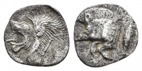 MYSIA. Kyzikos circa 480 BC. AR obol 10.2mm, 0.8gr. Forepart of boar left, tunny upwards behind / Head of roaring lion left.