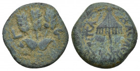 Judaea, Herodian Kingdom. Agrippa I. 37-44 C.E. 17.3 mm, 2.9g. Jerusalem mint, struck 41-42 C.E.. BACIΛEΩC AΓPIΠA, umbrella / Three ears of barley, fl...