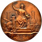Altdeutsche Münzen und Medaillen 
 Württemberg 
 Karl 1864-1891 
 Einseitiger, bronzierter Zinnabschlag vom Bildteil der Rückseite der Medaille o.J...