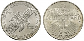 Deutsche Münzen und Medaillen ab 1871 
 Bundesrepublik Deutschland 
 5 Deutsche Mark 1952 D. Germanisches Museum. J. 388. vorzüglich-prägefrisch