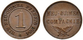 Deutsche Münzen und Medaillen ab 1871 
 Nebengebiete / Deutsch-Neuguinea 
 1 Neu-Guinea-Pfennig 1894 A. J. 701. vorzüglich-Stempelglanz