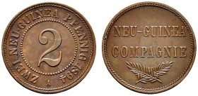 Deutsche Münzen und Medaillen ab 1871 
 Nebengebiete / Deutsch-Neuguinea 
 2 Neu-Guinea-Pfennig 1894 A. J. 702. vorzüglich