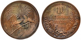 Deutsche Münzen und Medaillen ab 1871 
 Nebengebiete / Deutsch-Neuguinea 
 10 Neu-Guinea-Pfennig 1894 A. J. 703. sehr schön-vorzüglich