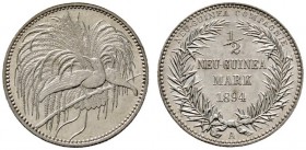 Deutsche Münzen und Medaillen ab 1871 
 Nebengebiete / Deutsch-Neuguinea 
 1/2 Neu-Guinea Mark 1894 A. J. 704. Prachtexemplar, fast Stempelglanz