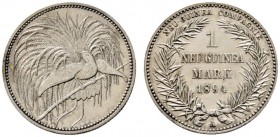 Deutsche Münzen und Medaillen ab 1871 
 Nebengebiete / Deutsch-Neuguinea 
 1 Neu-Guinea Mark 1894 A. J. 705. minimal berieben, vorzüglich