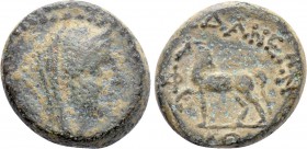 CILICIA. Adana. Ae (Circa 164-27 BC).