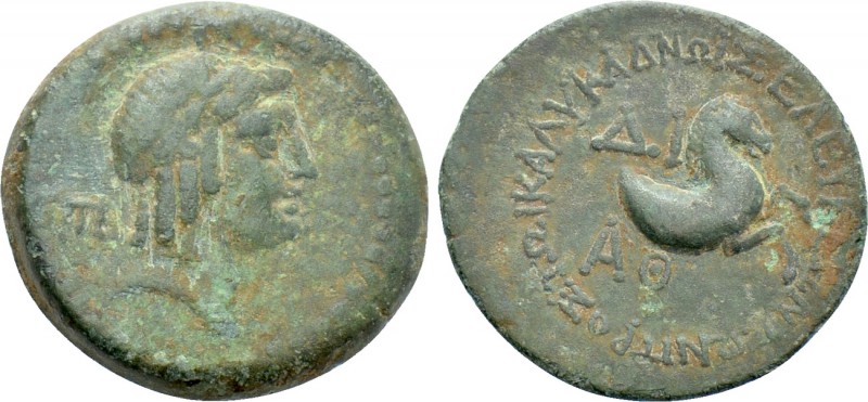 CILICIA. Seleukeia. Ae (2nd-1st centuries BC). 

Obv: Laureate head of Apollo ...