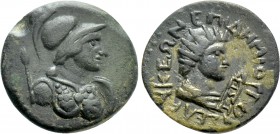 CILICIA. Seleukeia. Ae (1st century BC-1st century AD). Demiorgos, magistrate.