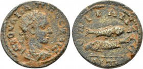 CILICIA. Epiphanea. Philip II (Caesar, 244-247). Ae. Dated CY 311 (243/4).