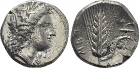 LUCANIA. Metapontion. Nomos (Circa 330-290 BC).