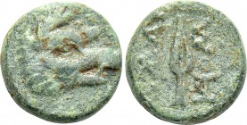 KINGS OF THRACE (Seleukid). Adaios (Circa 255-245 BC). Ae. Kypsela.