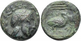 IONIA. Myous. Ae (Circa 400-380 BC).