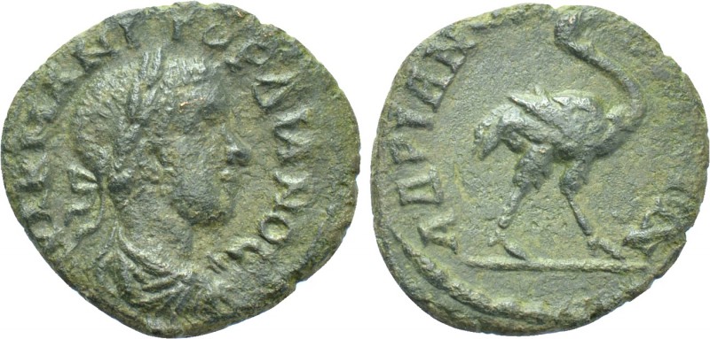 THRACE. Hadrianopolis. Gordian III (238-244). Ae. 

Obv: AVT K M ANT ΓOPΔIANOC...