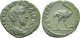 THRACE. Hadrianopolis. Gordian III (238-244). Ae.