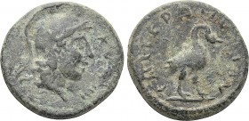 AEOLIS. Cyme. Pseudo-autonomous. Time of Hadrian to Antoninus Pius (117-161). Hieronymos, strategos.