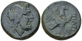 Apulia, Teate Nummus circa 225-200, Æ 31.00 mm., 24.69 g.
 Wreathed head of Zeus Dodona r. Rev. Eagle standing r. on thunderbolt; N to r. Historia Nu...