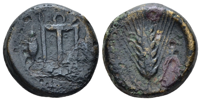 Lucania, Metapontum Bronze circa 425-350, Æ 16.00 mm., 4.35 g.
 Tripod; at side...