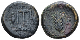 Lucania, Metapontum Bronze circa 425-350, Æ 16.00 mm., 4.35 g.
 Tripod; at side, grains. Rev. Barley-ear. Johnston 1. Historia Numorum Italy 1637.
 ...