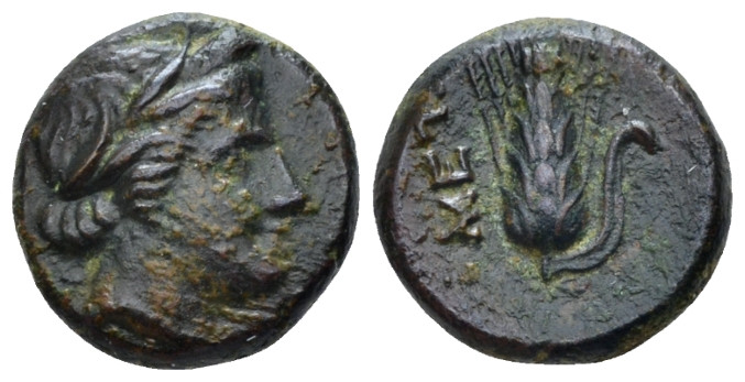 Lucania, Metapontum Bronze circa 300-250, Æ 14.00 mm., 2.66 g.
Wreathed head of...