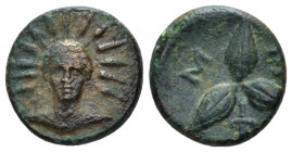 Lucania, Metapontum Bronze circa 300-250, Æ 12.00 mm., 1.60 g.
 Radiate head of Helios facing. Rev. Three barley-grains radiating from centre. Johnst...