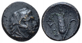 Lucania, Metapontum Bronze circa 300-250, Æ 15.00 mm., 3.67 g.
 Head of Heracles r., wearing lion's skin headdress. Rev. Ear of barley. Johnston Bron...