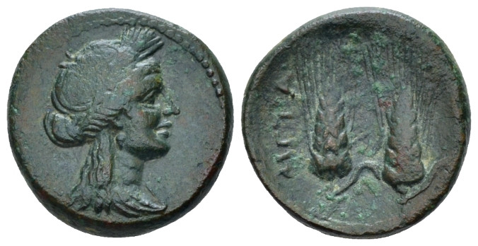 Lucania, Metapontum Bronze circa 225-200, Æ 17.00 mm., 3.82 g.
Wreathed head of...