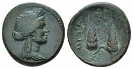 Lucania, Metapontum Bronze circa 225-200, Æ 17.00 mm., 3.82 g.
Wreathed head of Demeter r. Rev. Two barley ears. Johnston 79. Historia Numorum Italy ...
