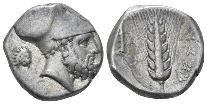 Lucania, Metapontum Nomos circa 340-330, AR 18.50 mm., 7.84 g.
Head of Leucippu...