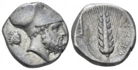 Lucania, Metapontum Nomos circa 340-330, AR 18.50 mm., 7.84 g.
Head of Leucippus r., wearing Corinthian helmet; behind, lion's head r. Rev. Ear of ba...