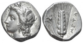 Lucania, Metapontum Nomos circa 330-290, AR 20.00 mm., 7.87 g.
Wreathed head of Demeter l. Rev. Barley ear with leaf to l.; above leaf, griffin sprin...