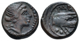 Lucania, Poseidonia as Paestum Sextans circa 218-201, Æ 14.00 mm., 3.11 g.
Female head r. Rev. Forepart of boar r. Crawford, Paestum 12/1. Historia N...