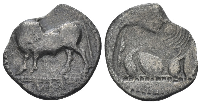Lucania, Sybaris Drachm circa 550-510, AR 17.00 mm., 1.68 g.
Bull standing l. o...