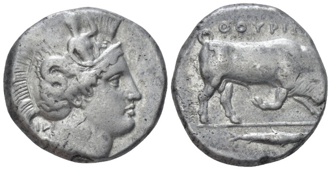Lucania, Thurium Di-nomos circa 380-350, AR 26.50 mm., 15.73 g.
Head of Athena ...