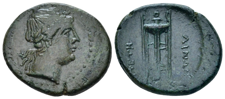 Bruttium, Petelia Bronze circa 216-204, Æ 22.00 mm., 5.56 g.
 Laureate head of ...