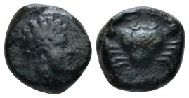 Sicily, Motya Uncia IV century BC, Æ 11.00 mm., 2.23 g.
Male head r. Rev. Crab. SNG ANS 510. Calciati 10.

Green patina and Very fine