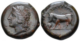Sicily, Tauromenium Hemilitron circa 357-315, Æ 25.00 mm., 18.57 g.
 Laureate head of Apollo Archagetas l. Rev. Man-headed bull standing l.; bunch of...