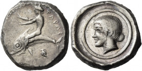 Calabria, Tarentum 
Nomos circa 470-465, AR 7.69 g. ΤΑΡΑΣ Oecist on dolphin l., raising both hands; below, pecten. Rev. Female head (Satyra ?) l., wi...
